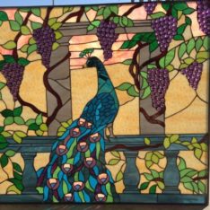 Peacock Stained Glass