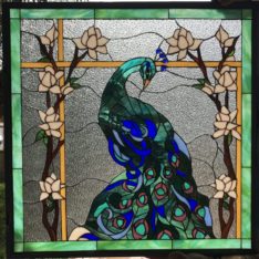 Peacock Stained Glass