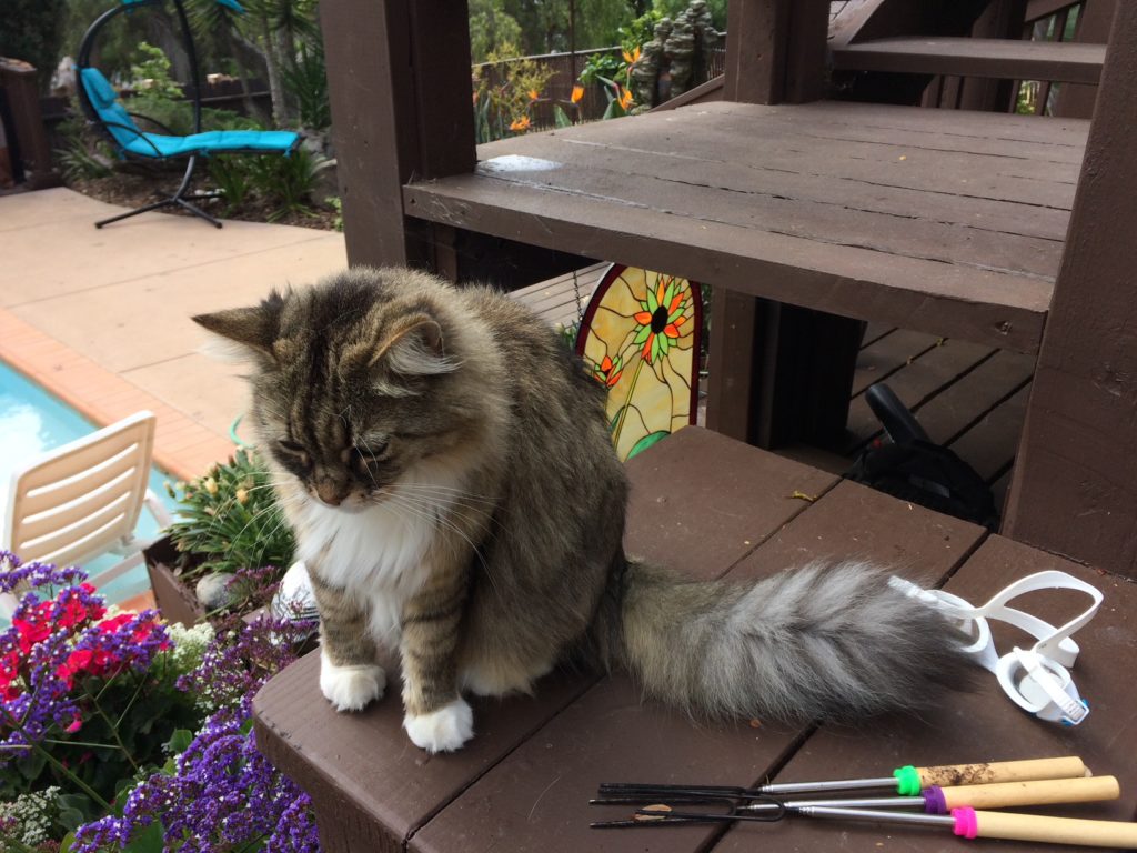 An organic oval stained glass panel featuring a vibrant sunburst floral design with orange petals, green leaves, and a dark center, set against a warm yellow and amber background.