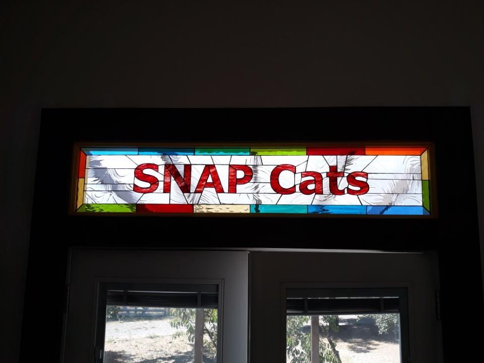 Snap cats Logo Stained Glass Transom in a Rescue House