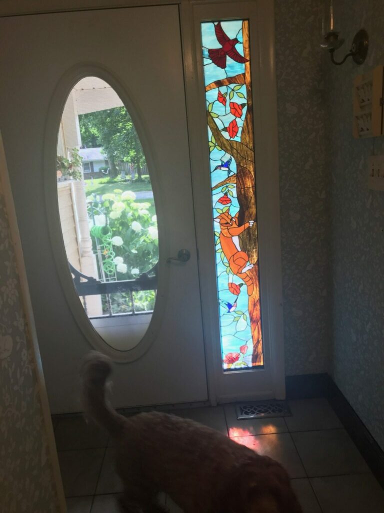 A rectangular stained glass sidelight panel depicting an orange cat climbing a brown tree trunk, with red flowers, green leaves, two blue hummingbirds, and a large red bird against a bright blue sky. The panel is installed next to a white entry door with an oval clear glass insert.