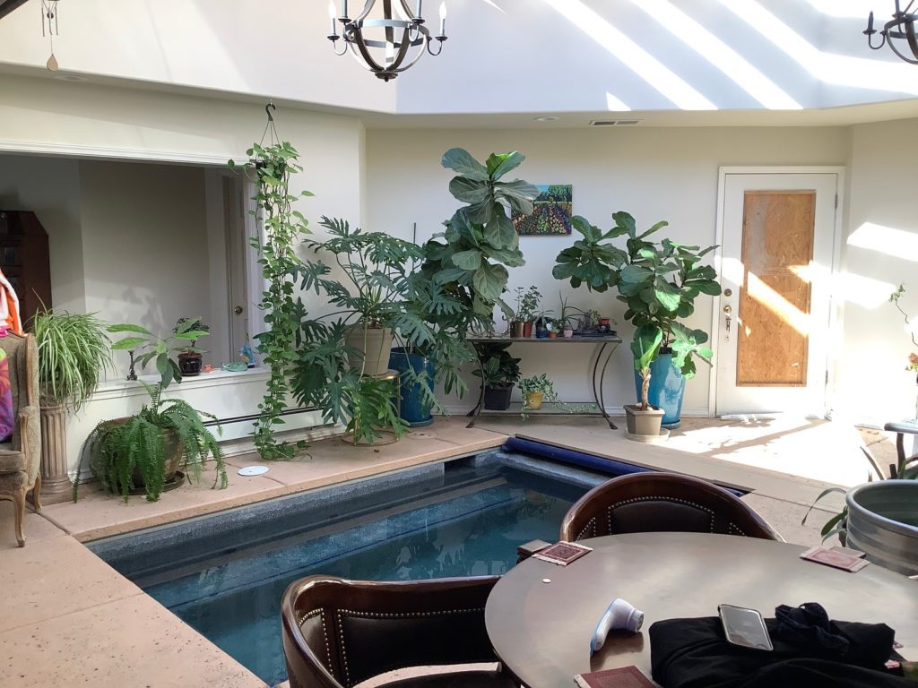 A bright indoor room featuring a sunken mini-pool or spa, surrounded by a variety of large potted green plants including fiddle leaf figs and philodendrons. Sunlight streams through a skylight overhead, casting strong striped shadows across the light-colored floor and walls. A round wooden table with two dark leather chairs sits beside the pool. On the far wall, a white door with a window covered by plywood is visible, alongside a console table with more small plants.