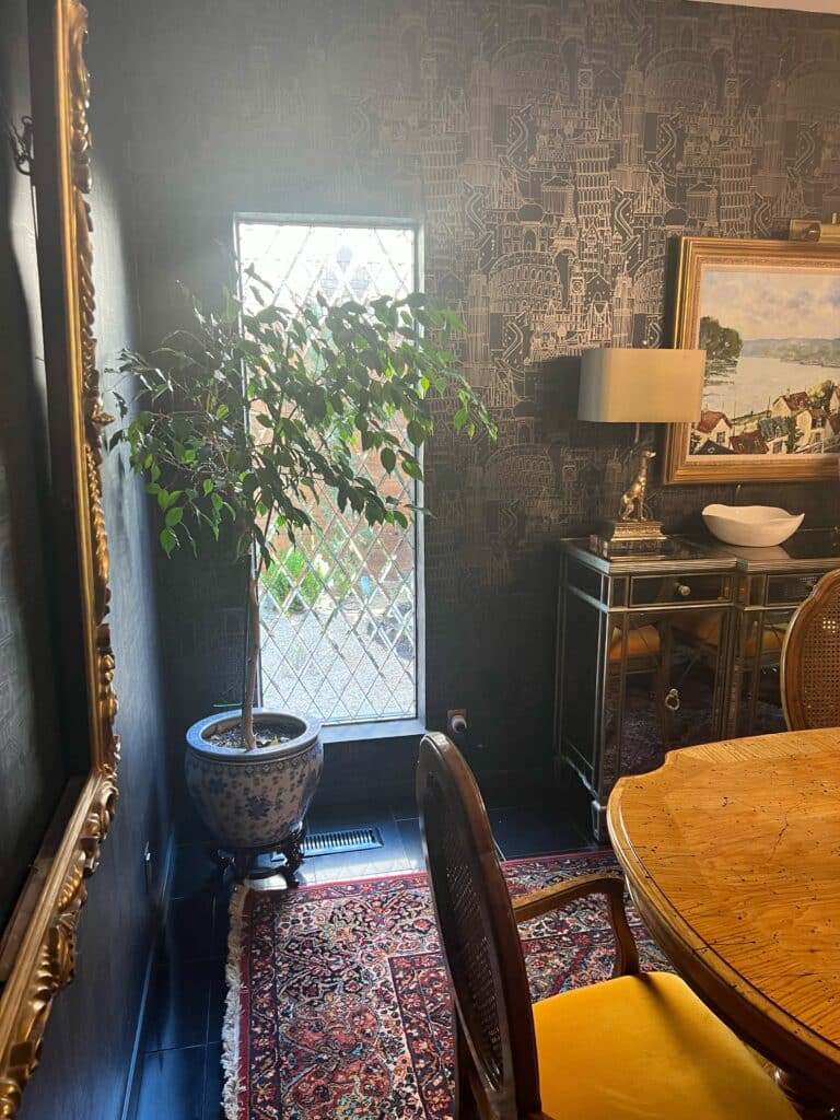 A tall, narrow leaded glass window featuring a classic clear diamond grid pattern, installed in a richly decorated dark room. A leafy potted ficus tree stands in front of the window, with sunlight streaming through the textured glass, casting light on the dark wallpaper with city skyline patterns.
