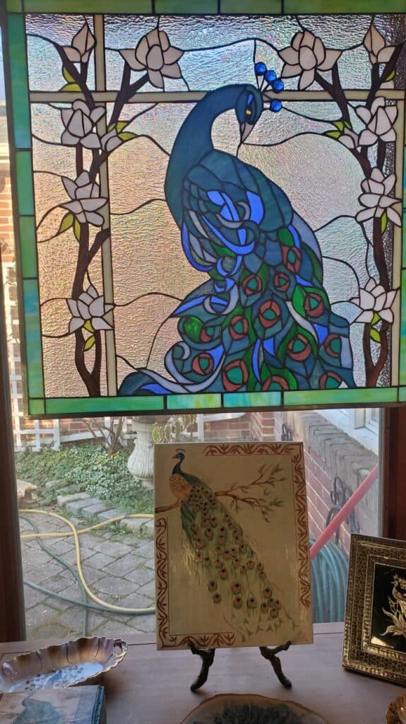 A rectangular leaded stained glass panel depicting a vibrant blue and green peacock with a fanned tail, looking downwards. It is framed by white magnolia flowers on dark branches against a clear, textured, and slightly iridescent glass background.