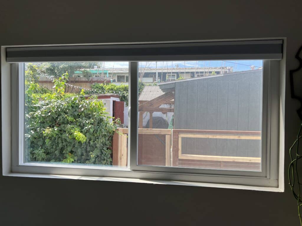 A rectangular white-framed window with a partially raised gray roller blind, showing a view of a sunlit backyard with dense green ivy, wooden fences, and various outdoor structures under a blue sky.