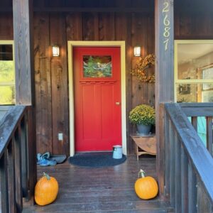 Rectangular Pine Tree Mountain Landscape Stained Glass Panel A rectangular, leaded stained glass door panel featuring a realistic landscape of green pine trees with a mountain and sky background, set into a red wooden door.