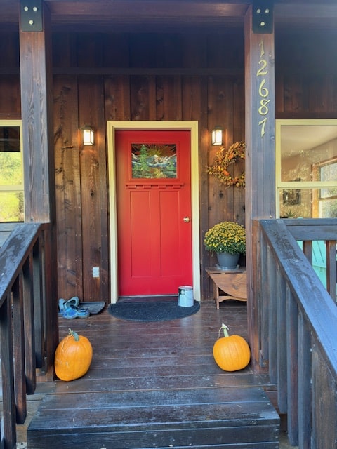 A rectangular, leaded stained glass door panel featuring a realistic landscape of green pine trees with a mountain and sky background, set into a red wooden door.